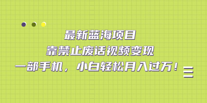 最新蓝海项目，靠禁止废话视频变现，一部手机，小白轻松月入过万！-玖儿的学习笔记