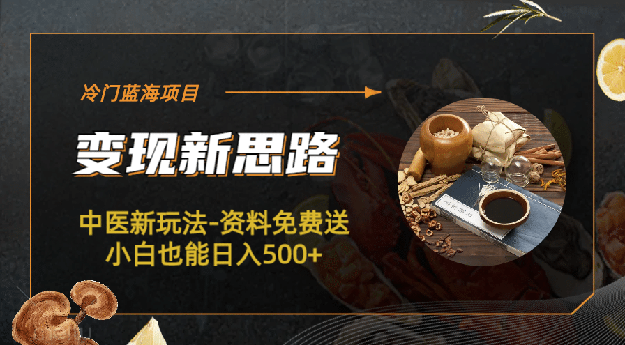 冷门蓝海项目-中医新玩法-冷门蓝海项目-中医新玩法-资料免费送小白也能日入500 500-玖儿的学习笔记