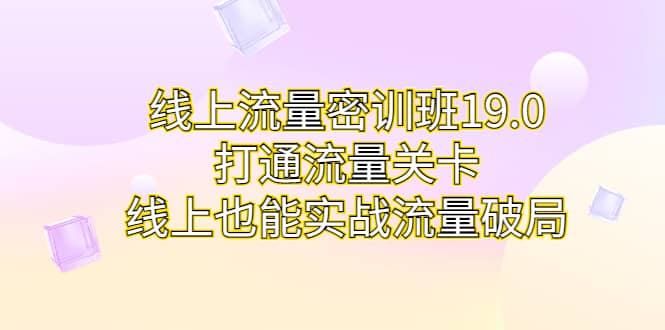 线上流量密训班19.0，打通流量关卡，线上也能实战流量破局-玖儿的学习笔记