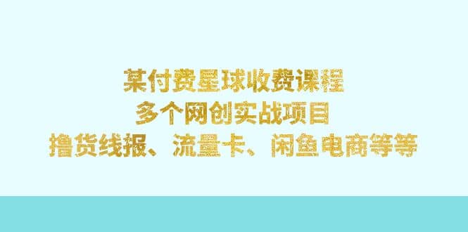 某付费星球课程：多个网创实战项目，撸货线报、流量卡、闲鱼电商等等-玖儿的学习笔记