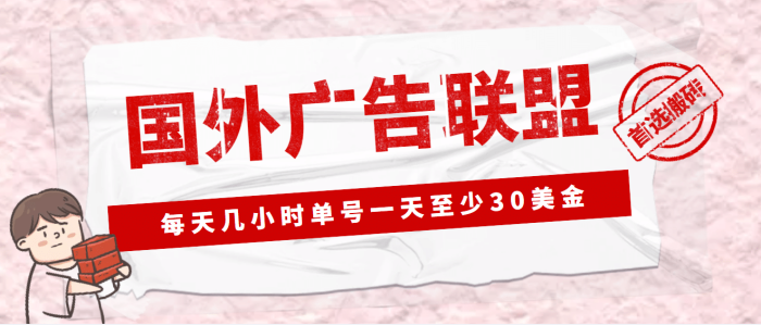 外面收费1980最新国外LEAD广告联盟搬砖项目,单号一天至少30美元(详细教程)-玖儿的学习笔记