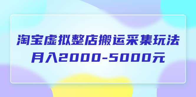 淘宝虚拟整店搬运采集玩法分享课：月入2000-5000元（5节课）-玖儿的学习笔记