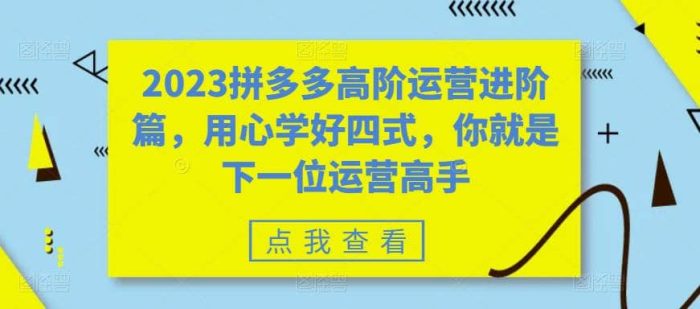 2023拼多多高阶运营进阶篇,用心学好四式,你就是下一位运营高手-玖儿的学习笔记