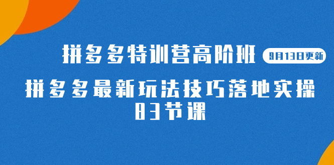 2023拼多多·特训营高阶班【9月13日更新】拼多多最新玩法技巧落地实操-83节-玖儿的学习笔记