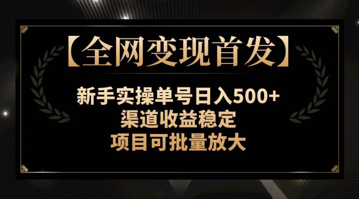 全网变现新玩法:新手实操单号日入500,稳定渠道收益,项目可批量放大!-玖儿的学习笔记