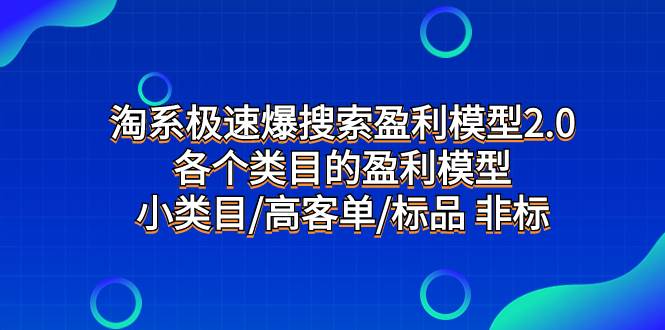 淘系极速爆搜索盈利模型2.0，各个类目的盈利模型，小类目/高客单/标品 非标-玖儿的学习笔记