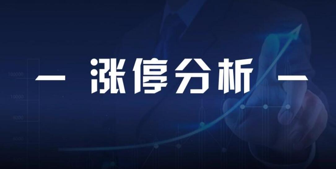 图片[4]-【情绪派杰哥-柚子园】股民必学超级重点：详解专业超短高手的复盘流程！-玖儿的学习笔记