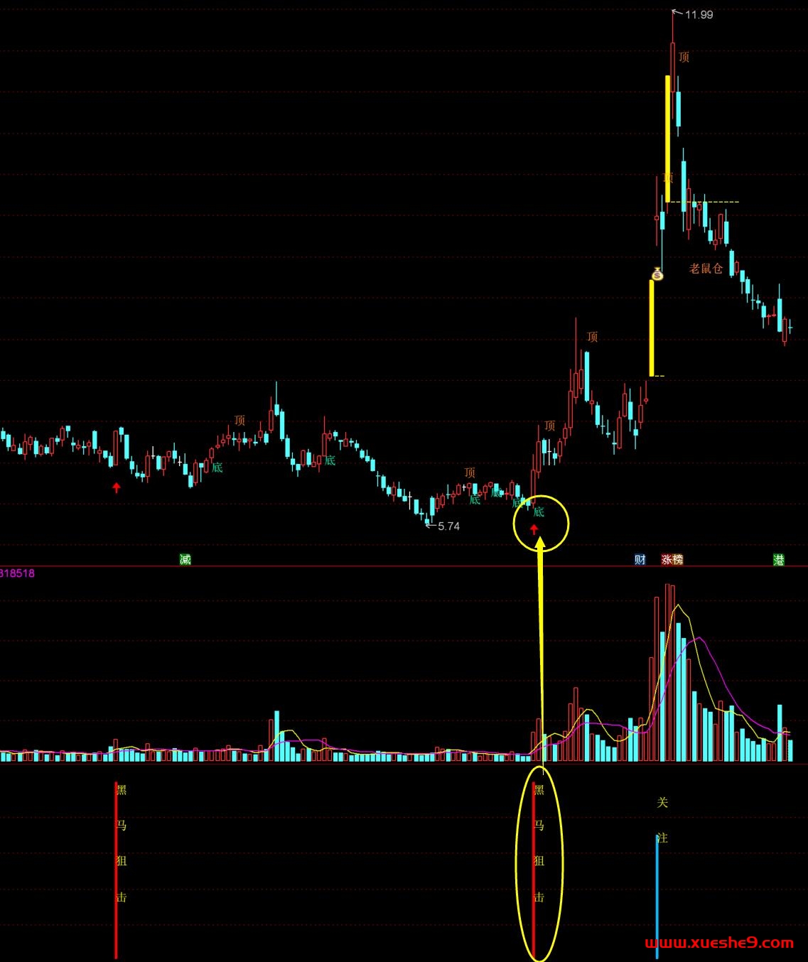 图片[5]-【通达信黑马狙击指标】预警/选股/主图/附图套装，强势黑马股一网打尽！-玖儿的学习笔记