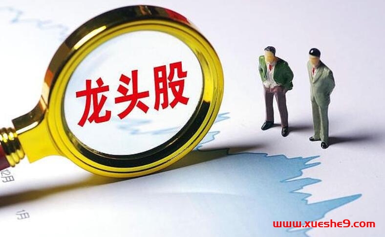 图片[2]-90后游资陈小群：游资心法与龙头战法解析-玖儿的学习笔记