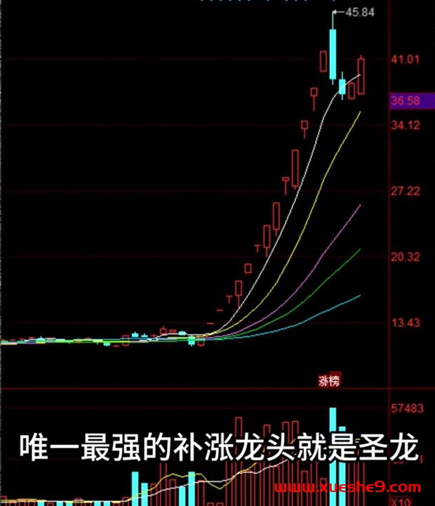 图片[2]-游资为何偏爱龙头股？解析断板现象背后的交易行为-玖儿的学习笔记
