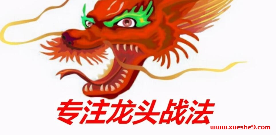 图片[2]-一瞬流光的龙头战法：1000倍游资的核心秘密-玖儿的学习笔记