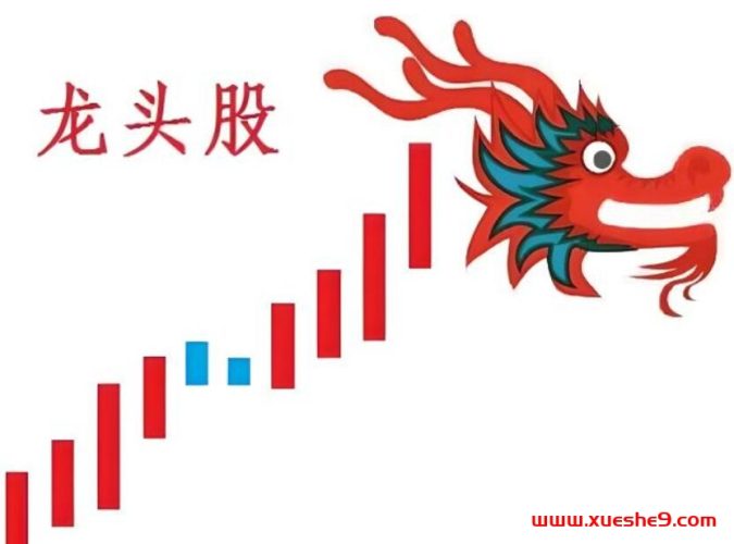 龙头股为何不倒?揭秘当前龙头的三种生态-玖儿的学习笔记