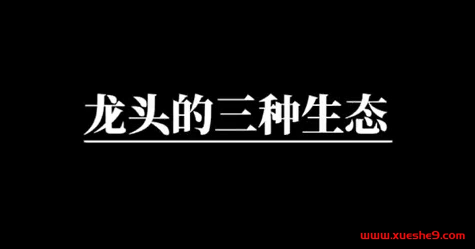 龙头背后的秘密：市场大起大落中的三类股票生态解析-玖儿的学习笔记