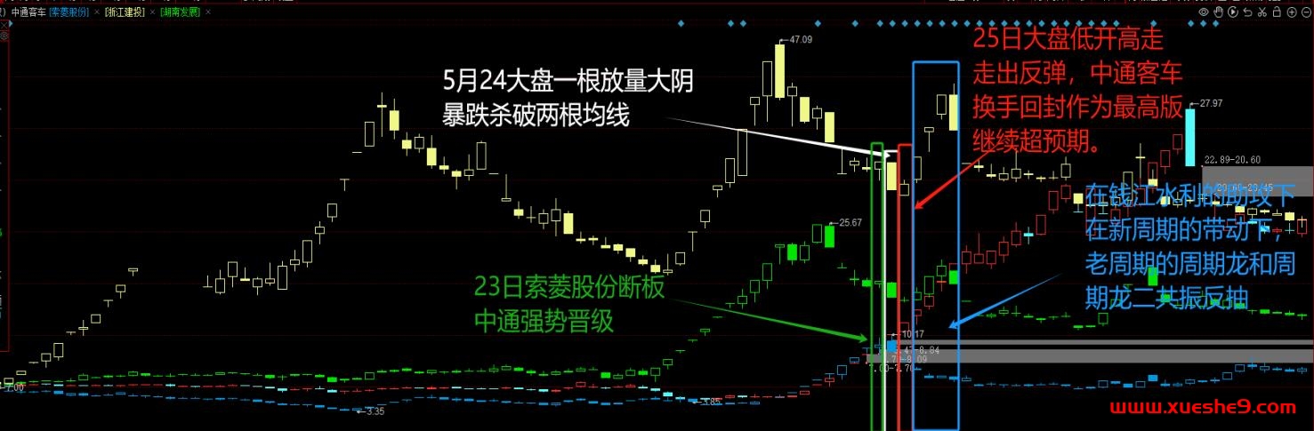 图片[2]-【情绪派杰哥-柚子园】何为龙头股？龙头的诞生-玖儿的学习笔记