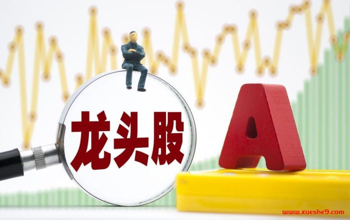 【情绪派杰哥-柚子园】何为龙头股?龙头的诞生-玖儿的学习笔记