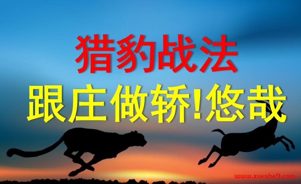 图片[2]-潜龙勿用：揭秘投资利器与神奇战法，百战百胜的黄金操作指南-玖儿的学习笔记