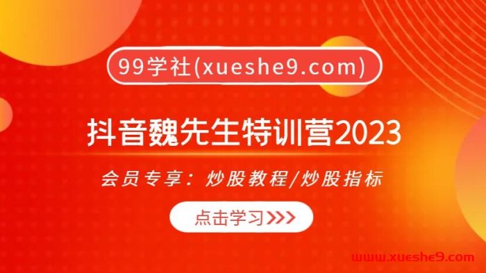 揭秘抖音魏先生低息策略，股市实战攻略2023-玖儿的学习笔记
