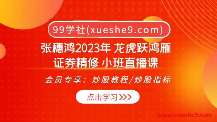 2023 张穗鸿 龙虎跃鸿雁·证券精修：战法解析，实战技巧一网打尽！-玖儿的学习笔记