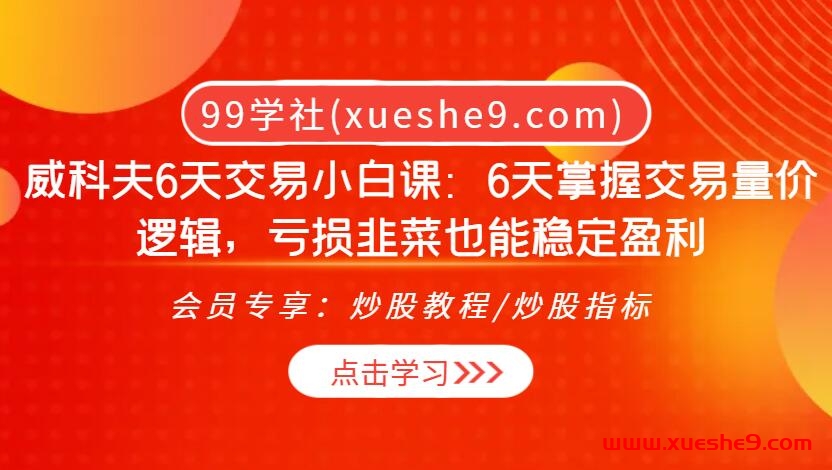 精通威科夫交易逻辑：6天掌握量价分析，零基础投资者也能轻松盈利-玖儿的学习笔记