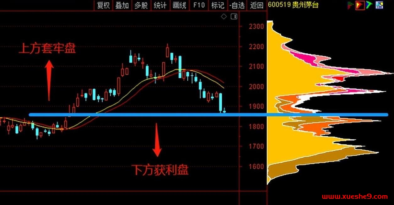 图片[2]-主力独家秘籍！新手看价，老手看量，高手却看筹码蜂？揭秘股市不可错过的指标利器！-玖儿的学习笔记