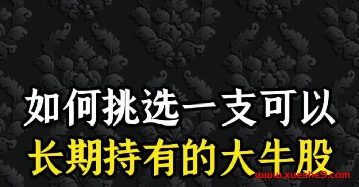 揭秘选股秘籍!如何用财务数据轻松挑选长期持有的牛股,赚取可观利润!-玖儿的学习笔记