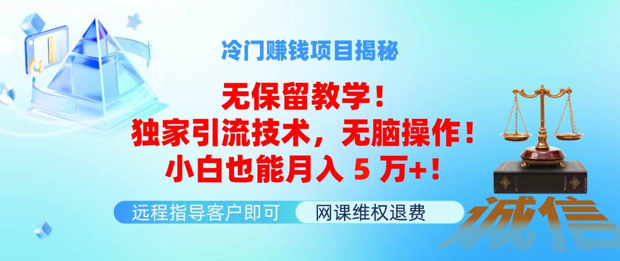 冷门赚钱项目无保留教学！独家引流技术，无脑操作！小白也能月入5万+！-玖儿的学习笔记