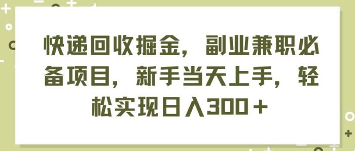 快递回收掘金，副业兼职必备项目，新手当天上手，轻松实现日入300＋-玖儿的学习笔记