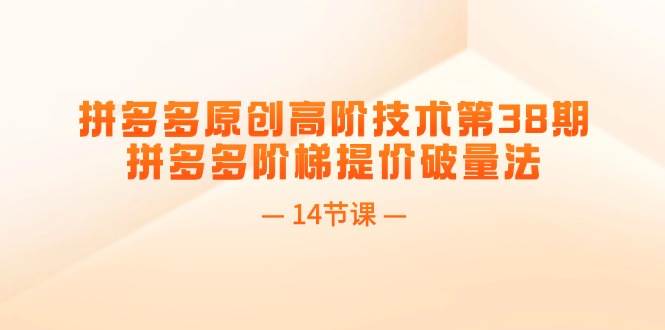 拼多多原创高阶技术第38期，拼多多阶梯提价破量法（14节课）-玖儿的学习笔记