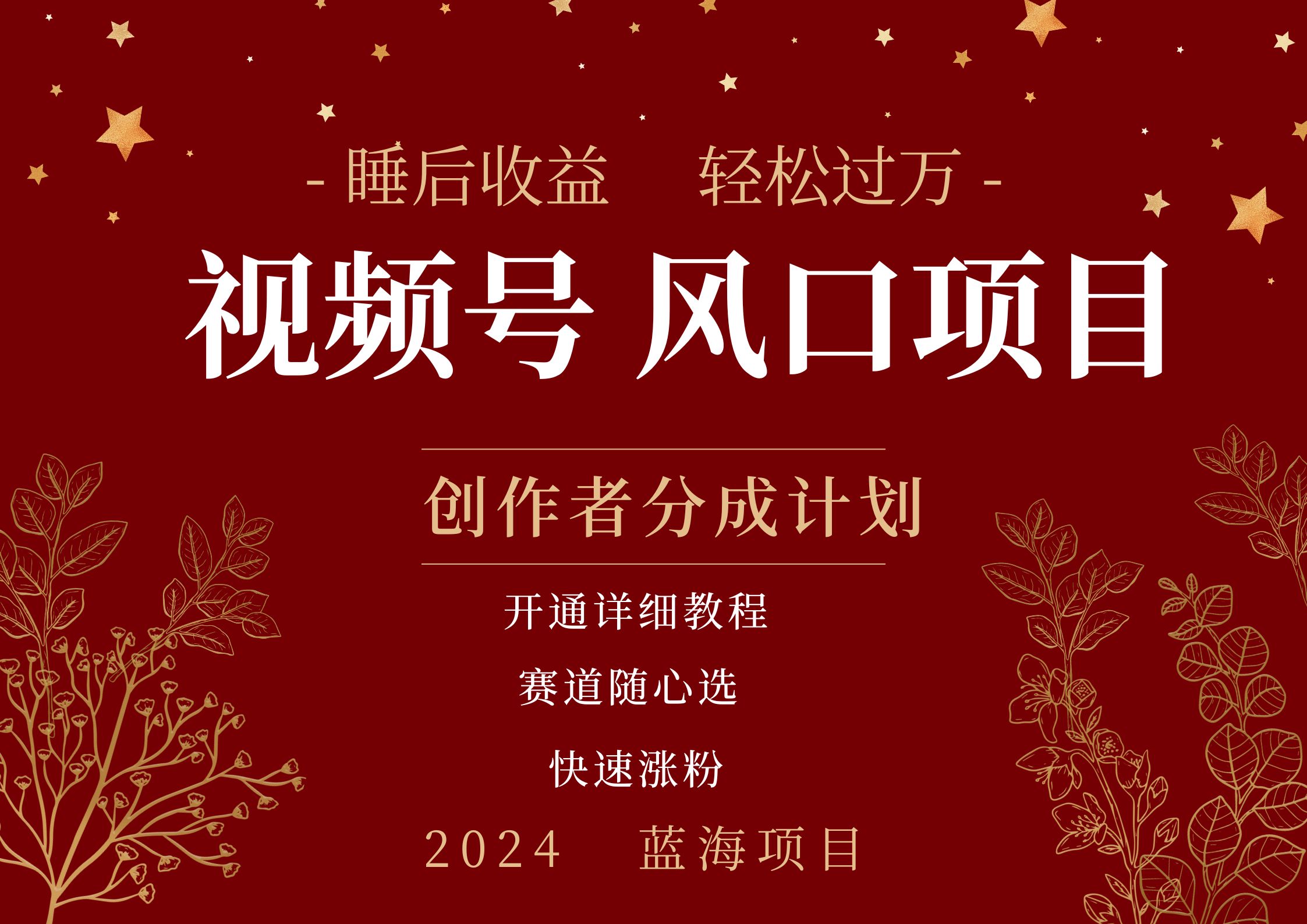 拥有睡眠收益的微信视频号大风口项目，轻松月入过万+，多赛道选择，可矩阵，玩法简单轻松上手-玖儿的学习笔记
