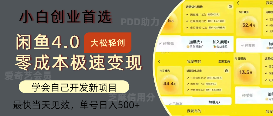闲鱼0成本极速变现项目，多种变现方式，单号日入500+最新玩法-玖儿的学习笔记
