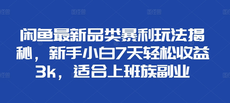 闲鱼最新品类暴利玩法揭秘，新手小白7天轻松赚3000+，适合上班族副业-玖儿的学习笔记