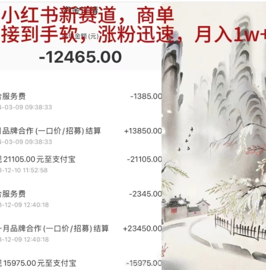 小红书新赛道，商单接到手软，涨粉迅速，一个月1w+-玖儿的学习笔记