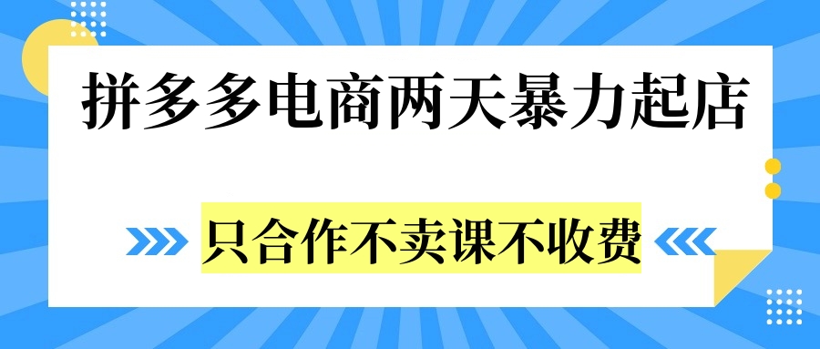 拼多多两天暴力起店，只合作不卖课不收费-玖儿的学习笔记