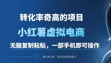 一单49.9，转化率奇高的项目，冷门暴利的小红书虚拟电商-玖儿的学习笔记