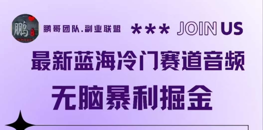 最新蓝海冷门赛道音频，无脑暴利掘金-玖儿的学习笔记