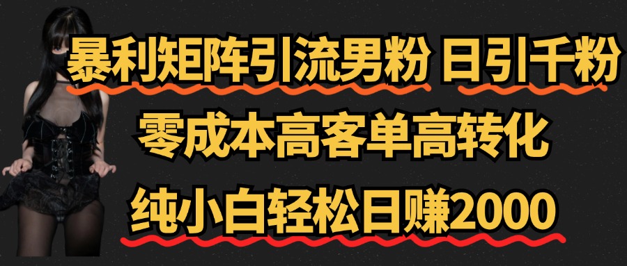 暴利矩阵引流男粉（日引千粉），零成本高客单高转化，纯小白轻松日赚2000+-玖儿的学习笔记