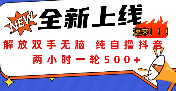 解放双手无脑 纯自撸抖音 两小时一轮500+-玖儿的学习笔记