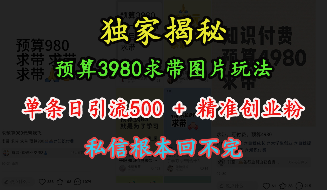 “小红书”预算3980求带 图片玩法，单条日引流500+精准创业粉，私信根本回不完-玖儿的学习笔记