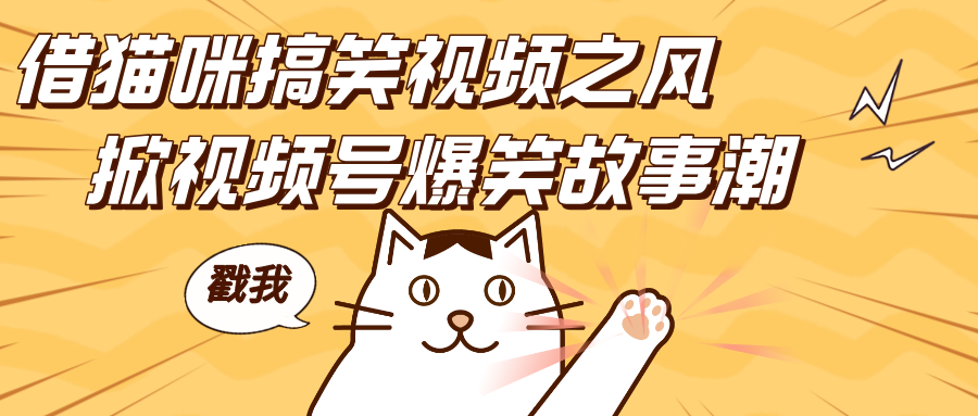 借猫咪搞笑视频之风，掀视频号爆笑故事潮，轻松日赚四位数，开启无门槛赚钱新体验！-玖儿的学习笔记