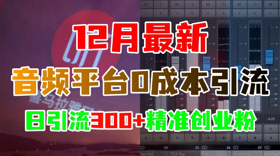 12月最新：音频平台0成本引流，日引300+精准创业粉-玖儿的学习笔记