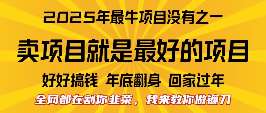 全网都在割你韭菜，我来教你做镰刀。卖项目就是最好的项目，2025年最牛互联网项目-玖儿的学习笔记