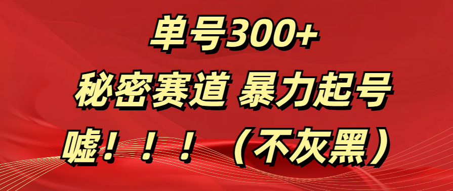 单号300+  秘密赛道 暴力起号  （不灰黑）-玖儿的学习笔记