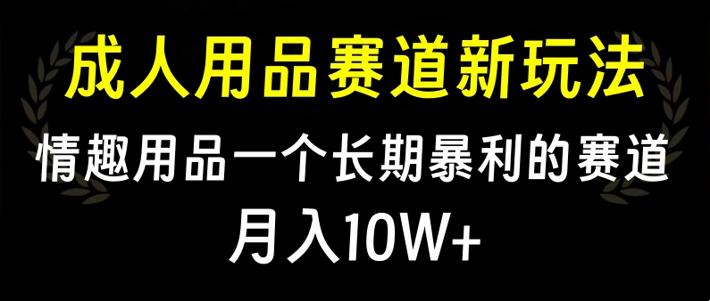 大人用品赛道新玩法，情趣用品一个长期暴利的赛道，月入10W+-玖儿的学习笔记
