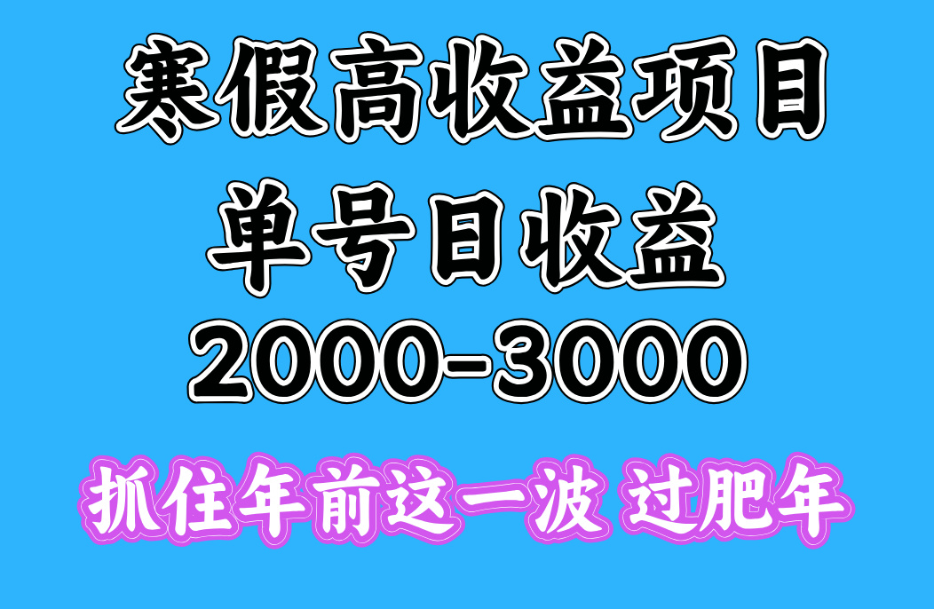 寒假期间一天收益2000-3000+，抓住年前这一波-玖儿的学习笔记