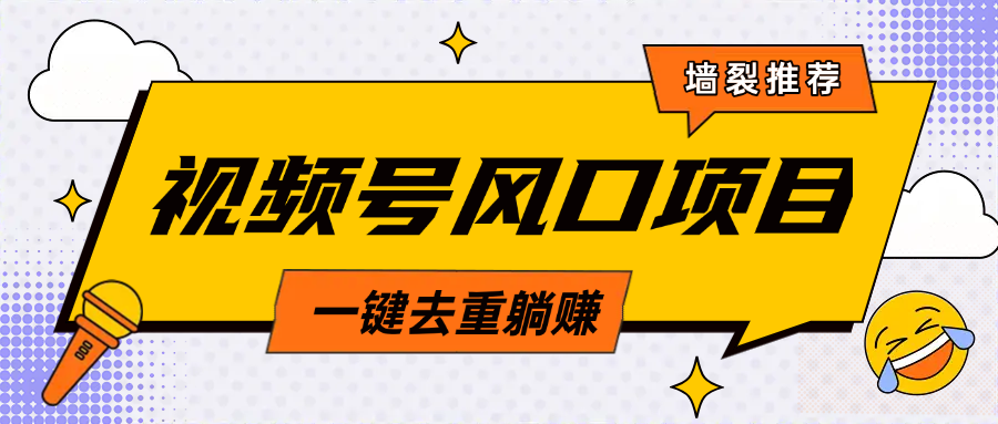 视频号风口蓝海项目，中老年人的流量密码，简单无脑，一键去重，轻松月入过万-玖儿的学习笔记
