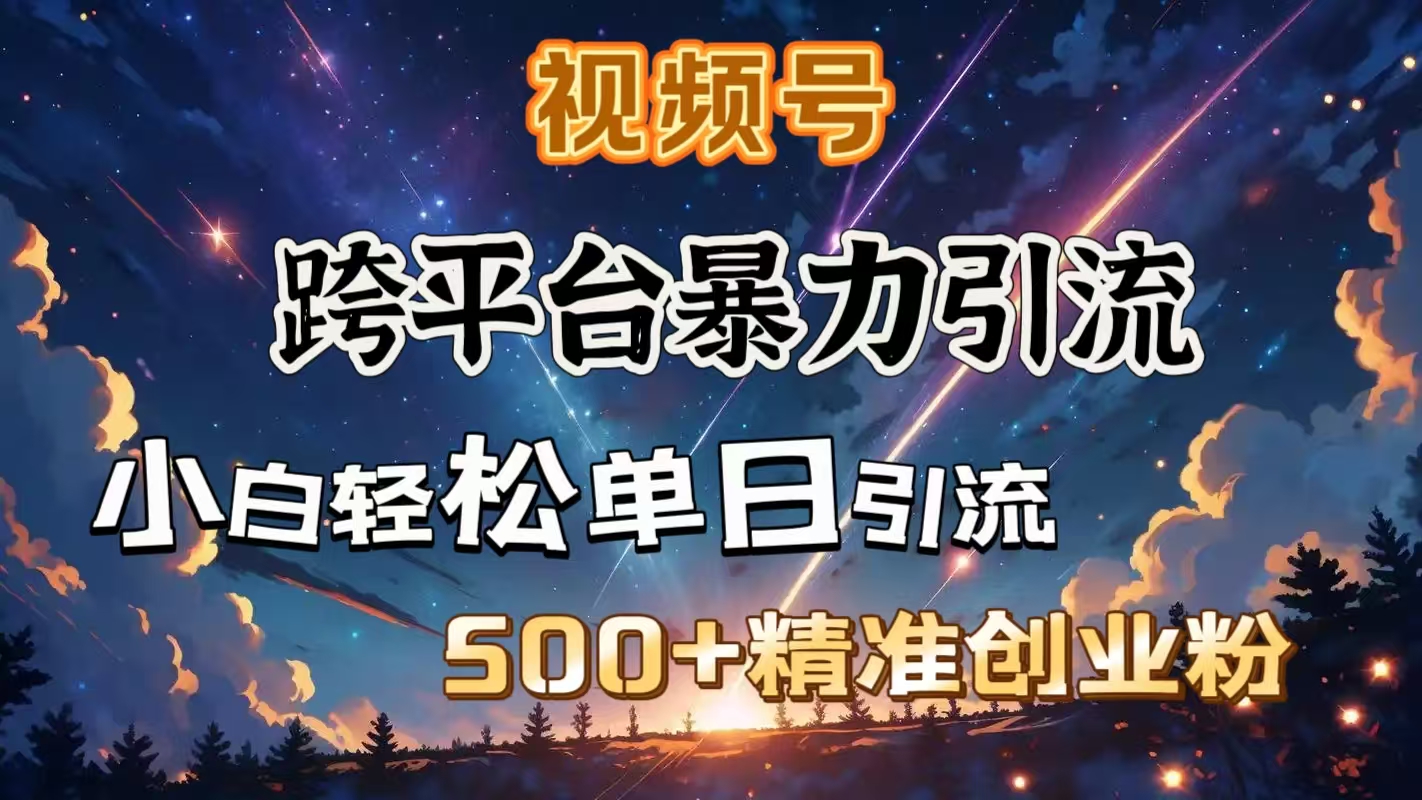 视频号跨平台暴力引流，小白轻松单日引流500＋精准创业粉-玖儿的学习笔记