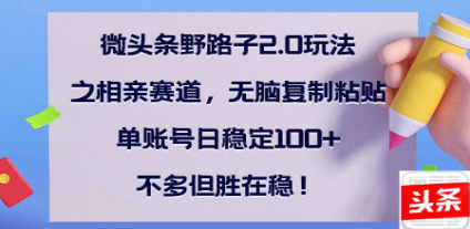 全网首发微头条野路子2.0玩法之相亲赛道，无脑搬砖复制粘贴，单账号日稳定300+保姆级教程-玖儿的学习笔记