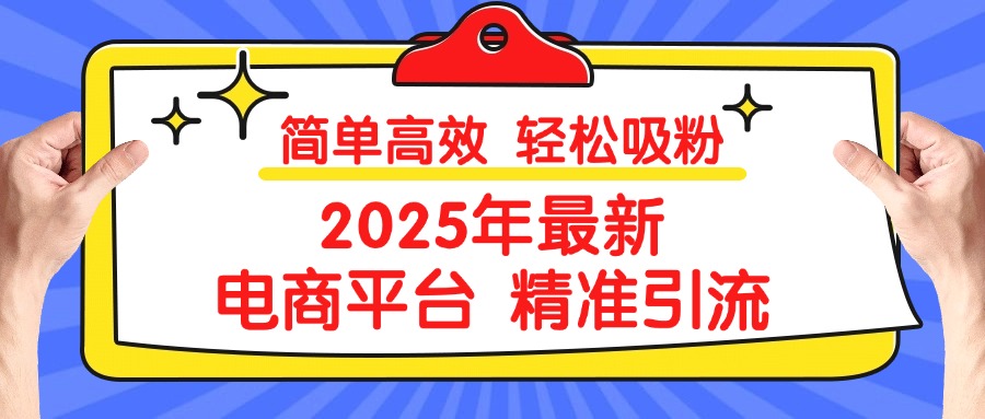 2025年最新电商平台精准引流 简单高效 轻松吸粉-玖儿的学习笔记