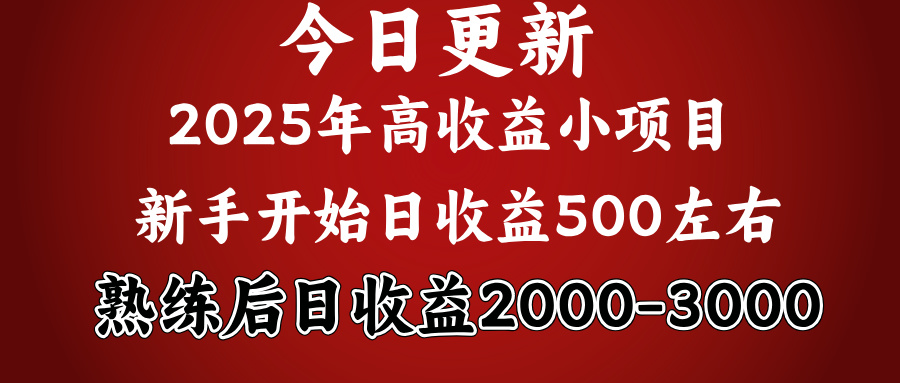 好项目一眼就能看出来，日收益1000，长久可做，2025拼的就是我比你勤奋-玖儿的学习笔记