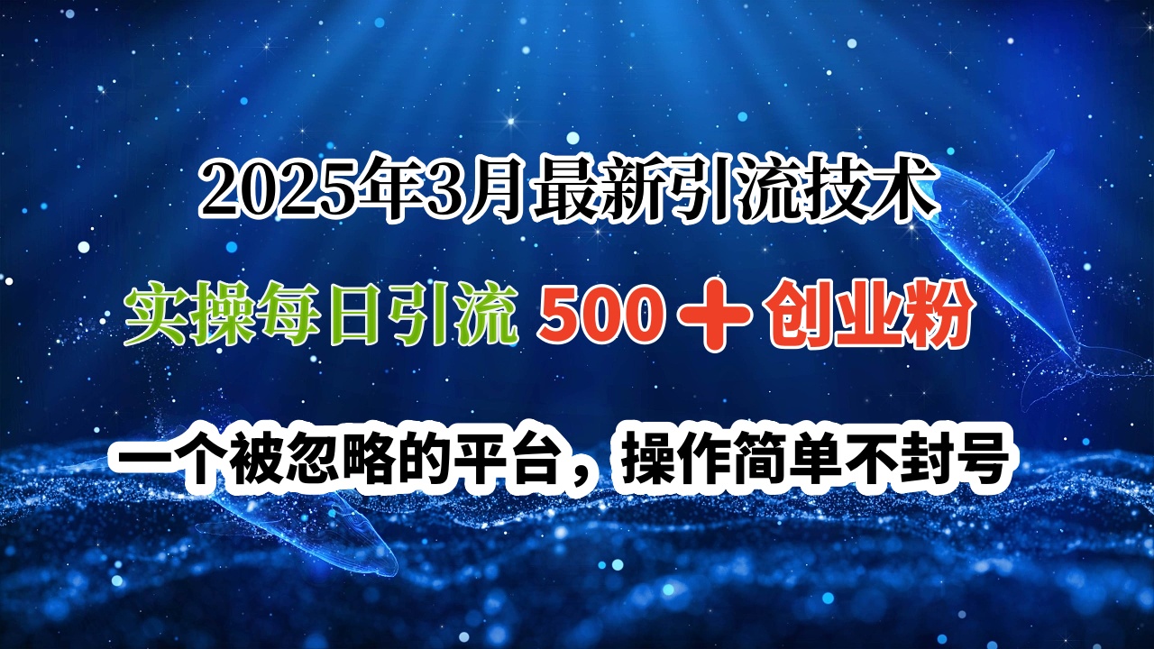 2025年3月最新引流技术，实操每日引流500➕创业粉，一个被忽略的平台，操作简单不封号-玖儿的学习笔记